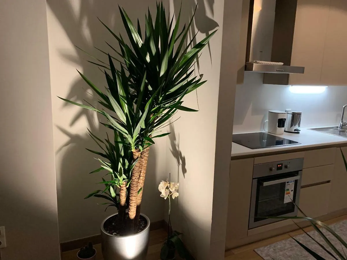 Hotel Agaoglu Maslak 1453 2+1 Penthouse Loft Istanbul